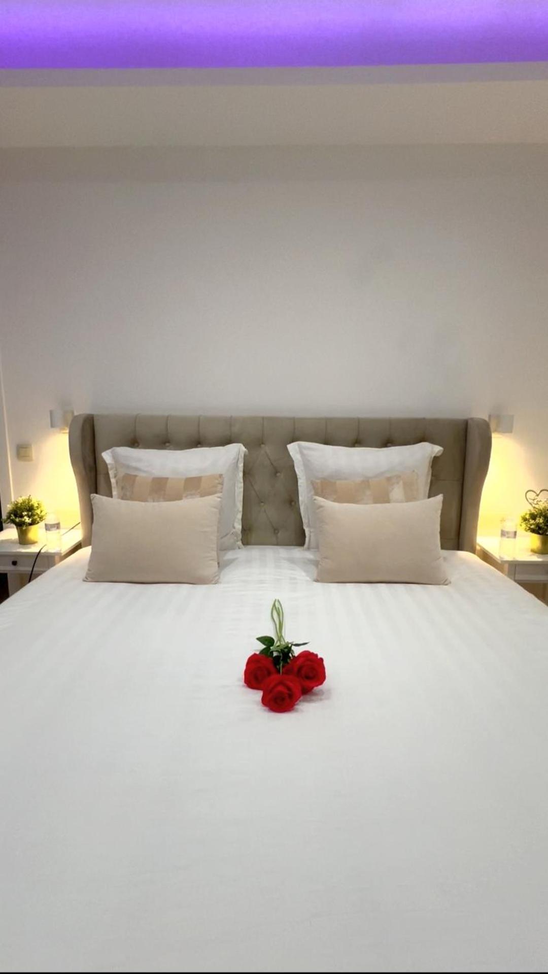 Sublime Calme Cosy & Jacuzzi Apartment Brussels